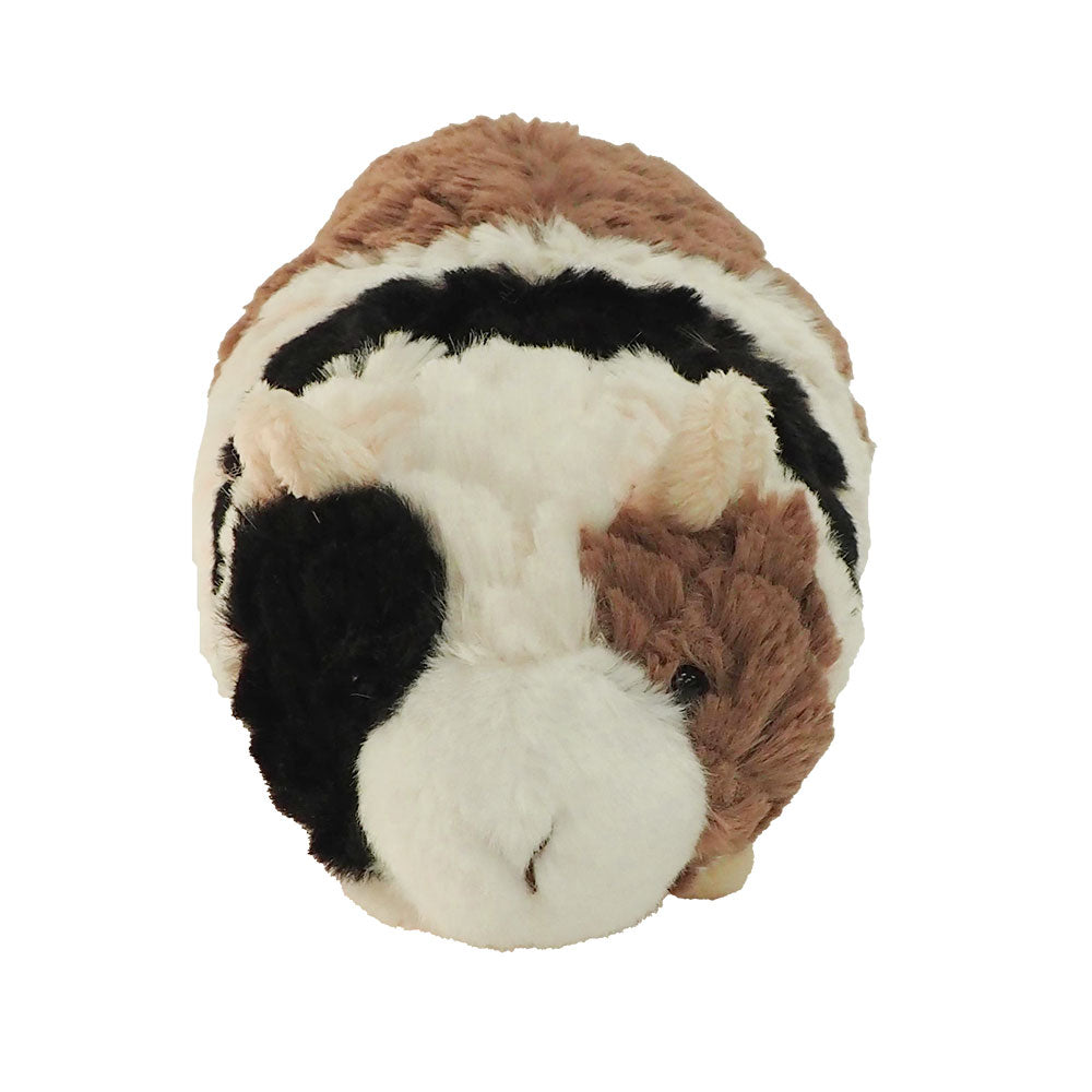 メリーマイヤー Mary Meyer 日本 |パティ ギニーピッグ