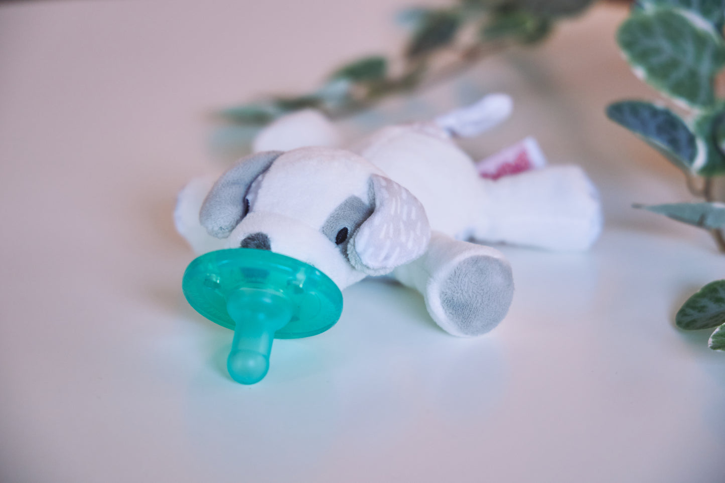 メリーマイヤー Mary Meyer 日本 |ワバナブ デコパップ - MaryMeyer.jp